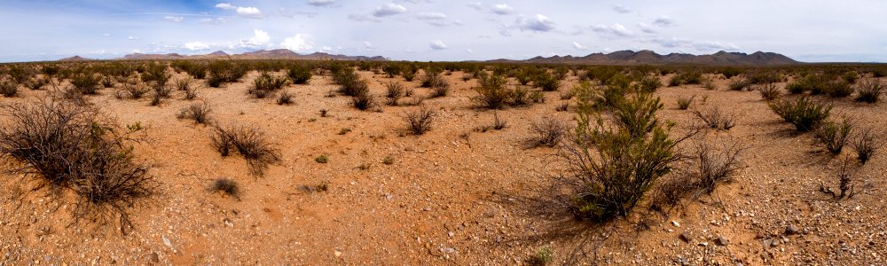 Western bajada of the Pyramid Mountains