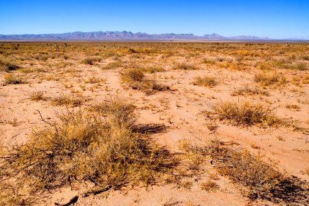 East side of Playas Valley