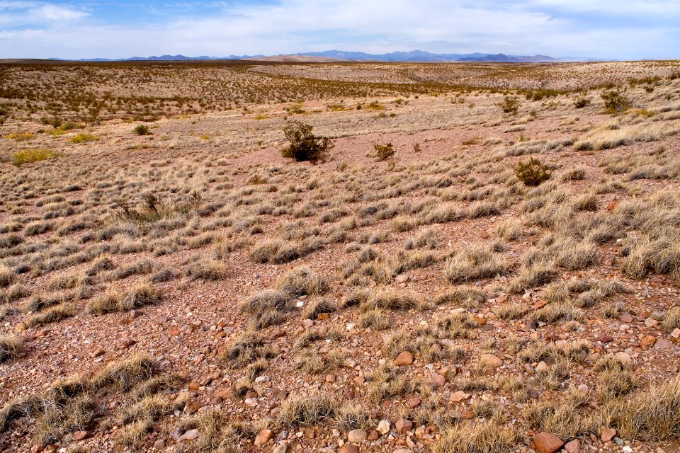 Southwest of Arroyo Cuervo
