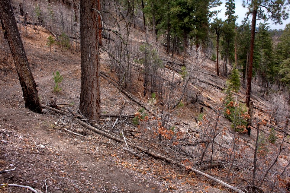 Continental Divide Trail