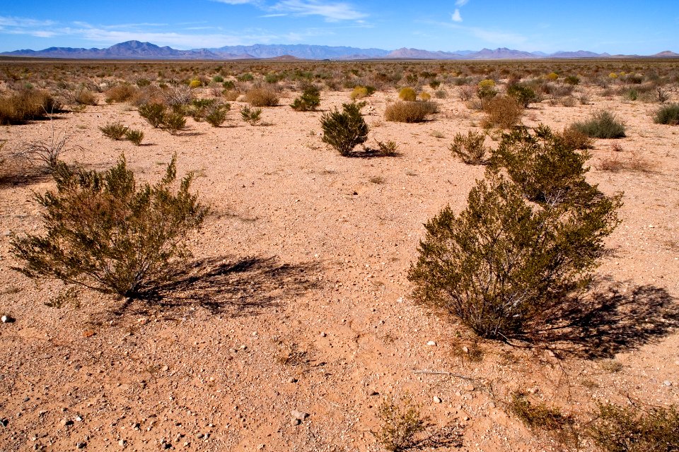 East-northeast of Animas