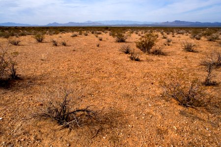 Western bajada of the Pyramid Mountains