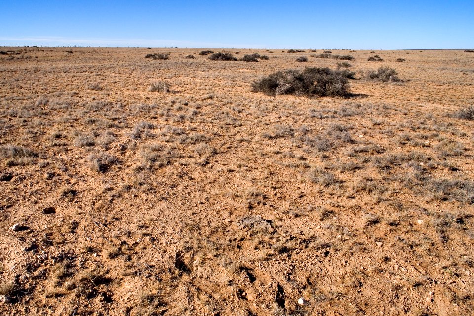 Southwestern Otero Mesa