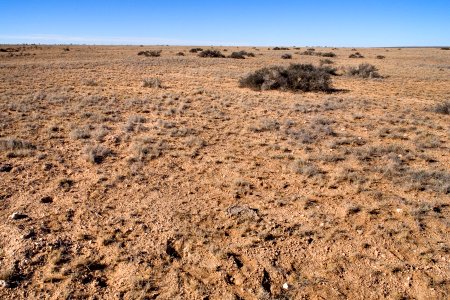 Southwestern Otero Mesa