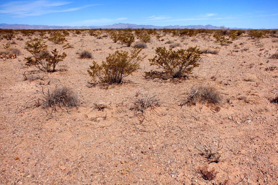 Mesa south of Cuchillo Negro Creek