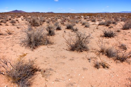 Along Upham Road near Rincon Arroyo