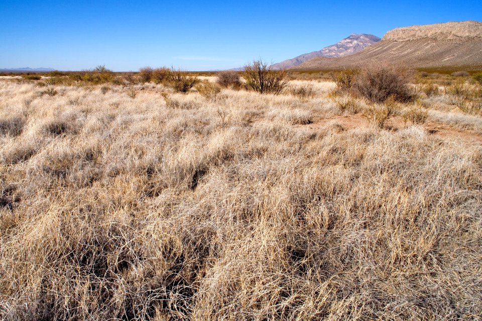East side of Playas Valley