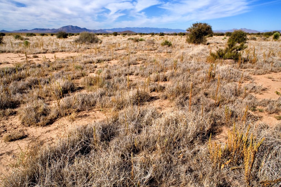 East-northeast of Animas