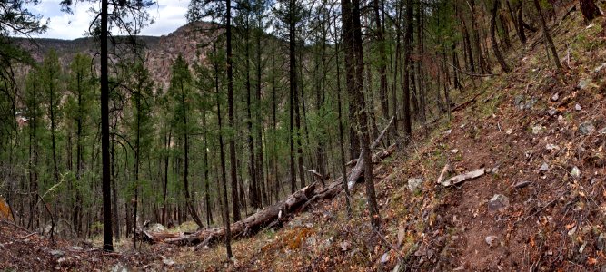 Southeast side of Hoyt Creek