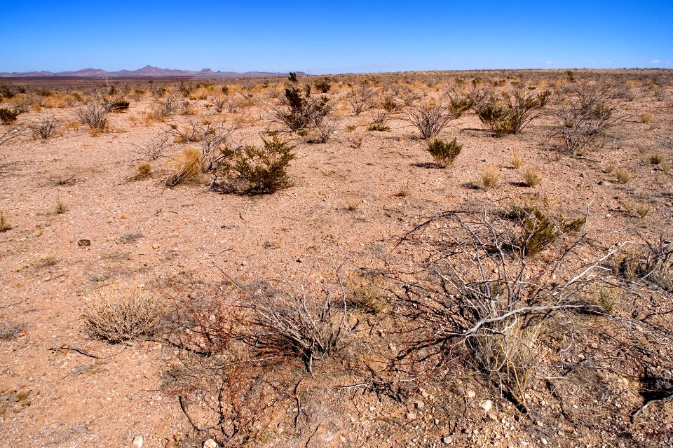 East-northeast of Animas