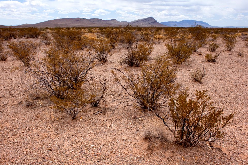 Mesa south of Cuchillo Negro Creek