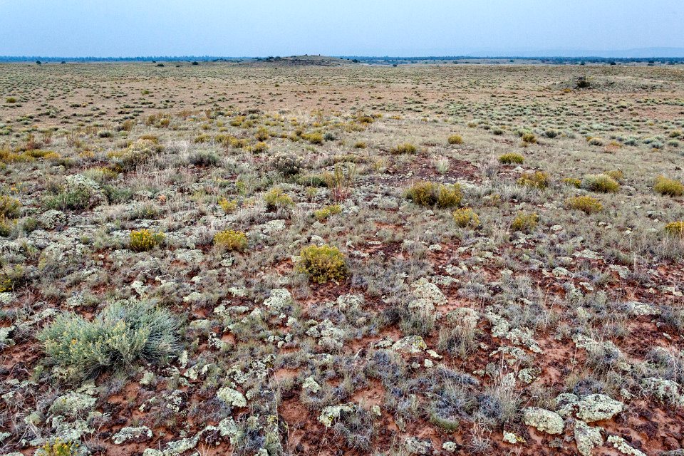 Southwest of Grants Malpais