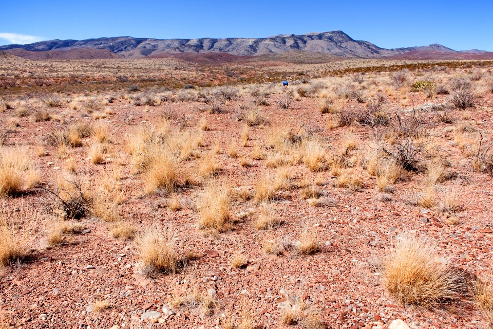 Eastern foothills of the Caballo Mountains near Yoast Draw