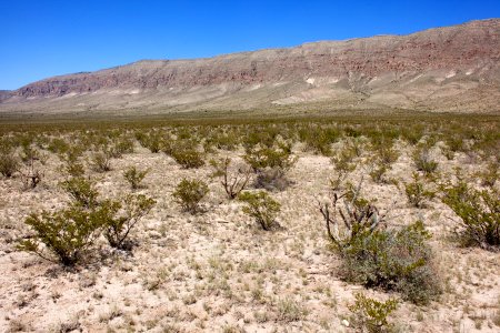 Guadalupe Mountains Rim