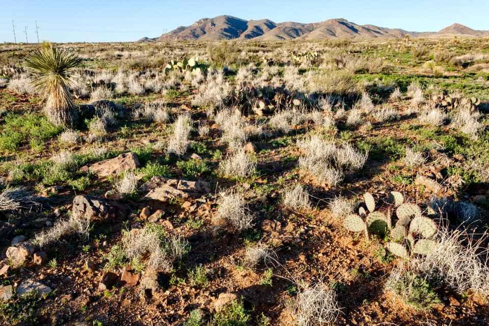 Northeast of Lordsburg