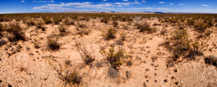 Northern Otero Mesa