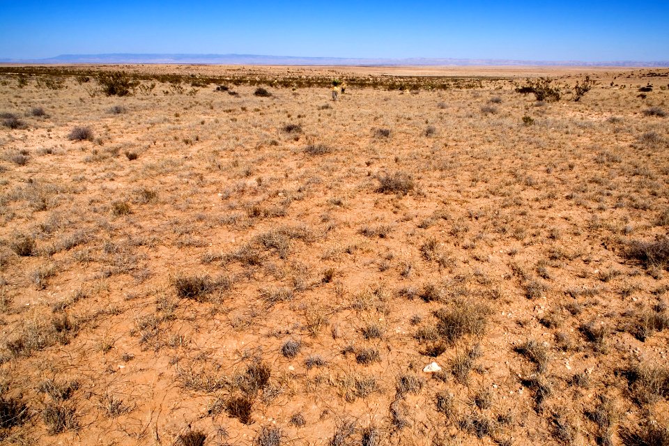Western Otero Mesa