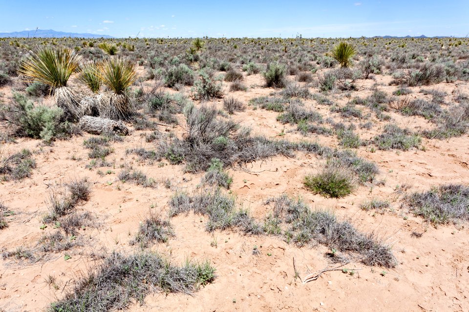 Northern Jornada del Muerto Plain