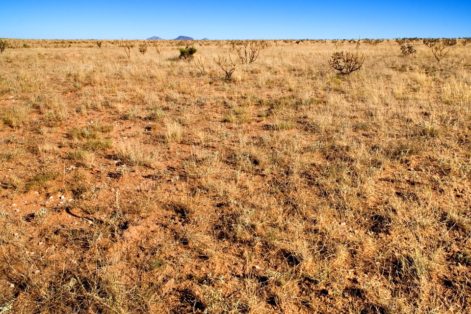 East of the Hueco Mountains
