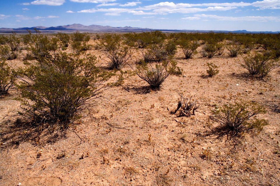 Northeast bajada of the Apache Hills