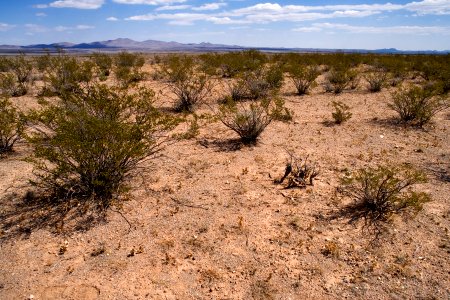 Northeast bajada of the Apache Hills