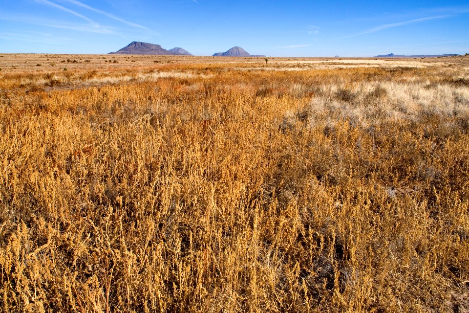 Southwestern Otero Mesa