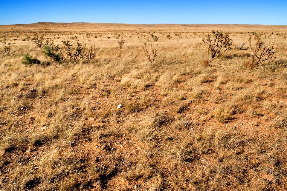 East of the Hueco Mountains