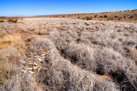 Eastern foothills of the Goodsight Mountains photo