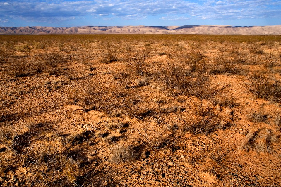 Northern Otero Mesa