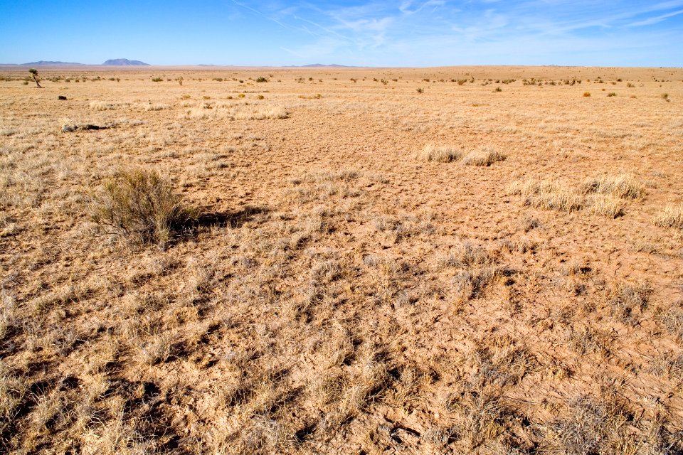 Southwestern Otero Mesa