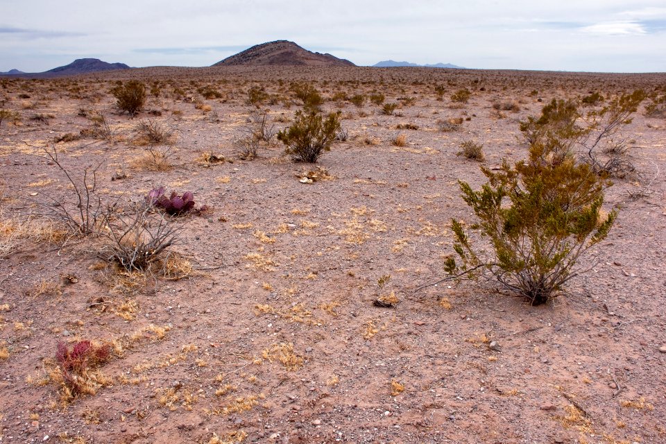 Northwest of Goat Ridge