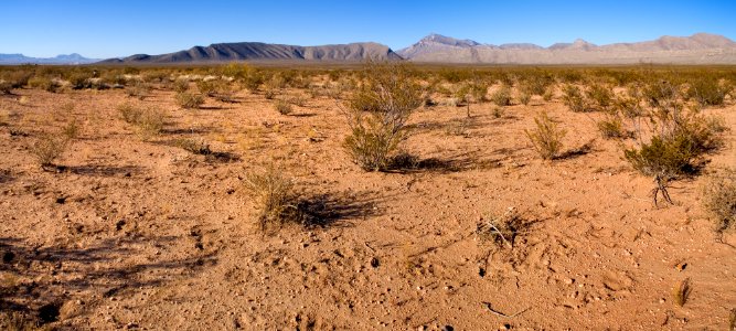 Basin between U Bar Ridge and the Alamo Hueco Mountains