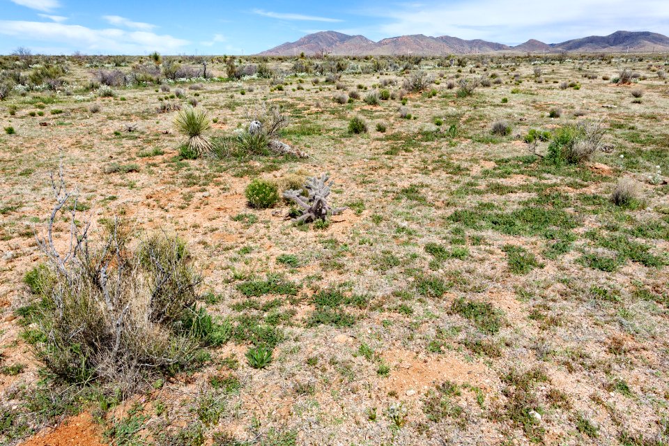 South of Apache Mountain