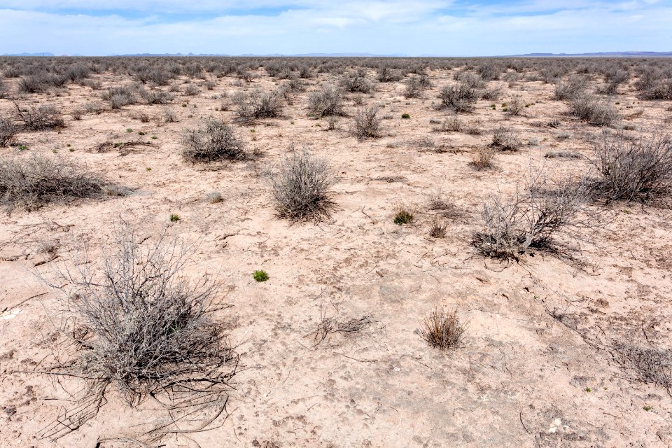 Jornada del Muerto Plain