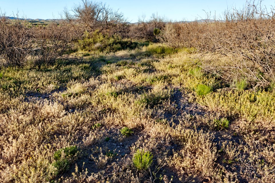 Northeast of Caprock Mountain