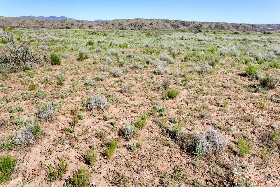 Northeast of Caprock Mountain