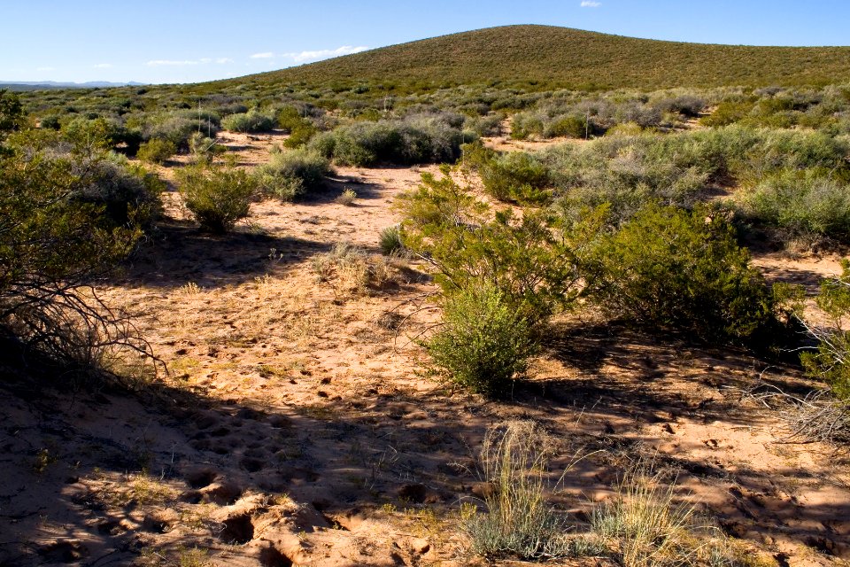 Jornada del Muerto, south side of Prisor Hill