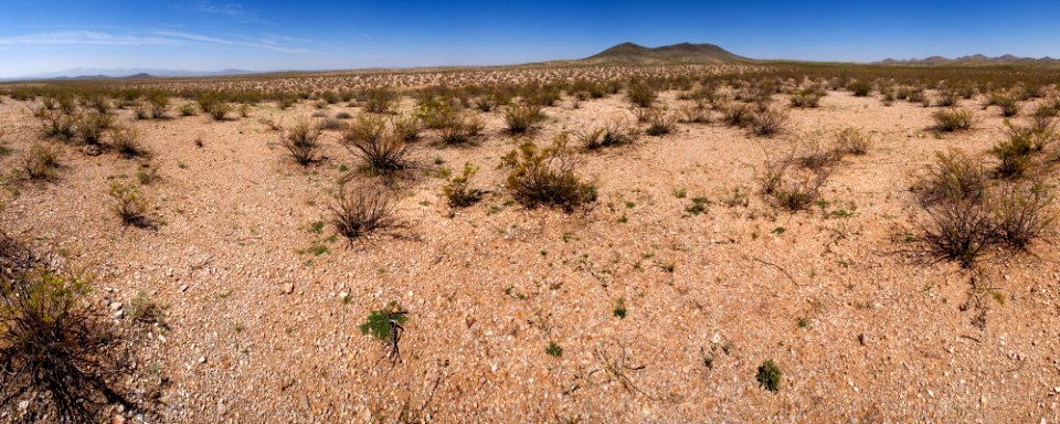 South bajada of the Tres Hermanas