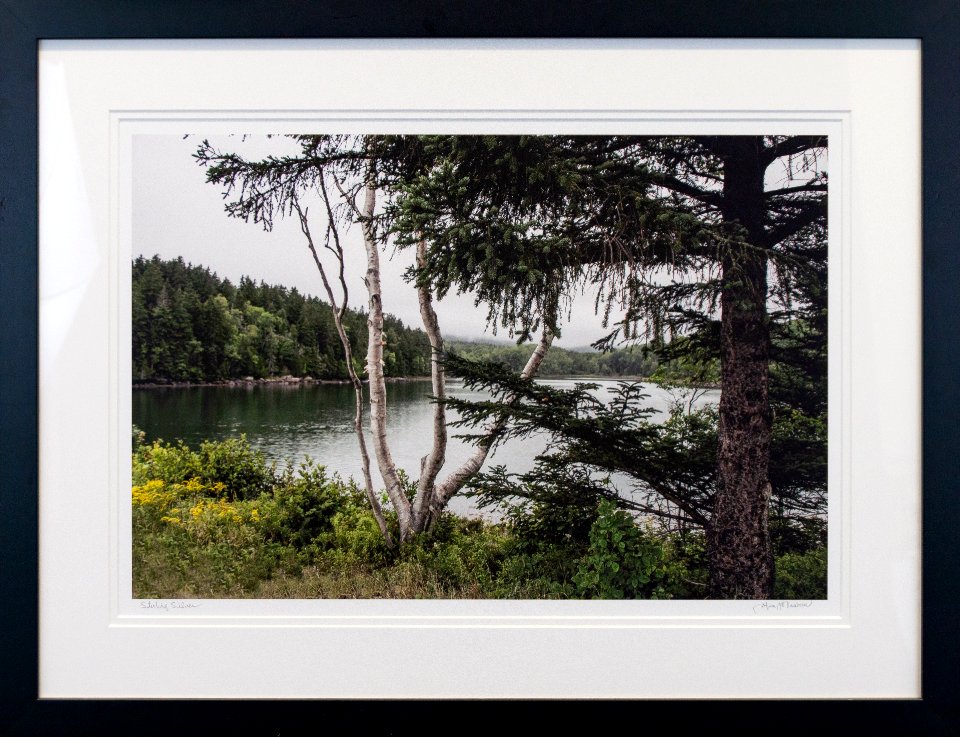 227 | Jim Howren | Sterling Silver | Photography | 21.5x26