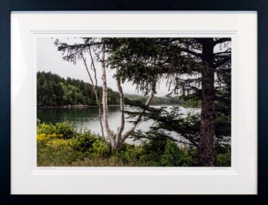 227 | Jim Howren | Sterling Silver | Photography | 21.5x26