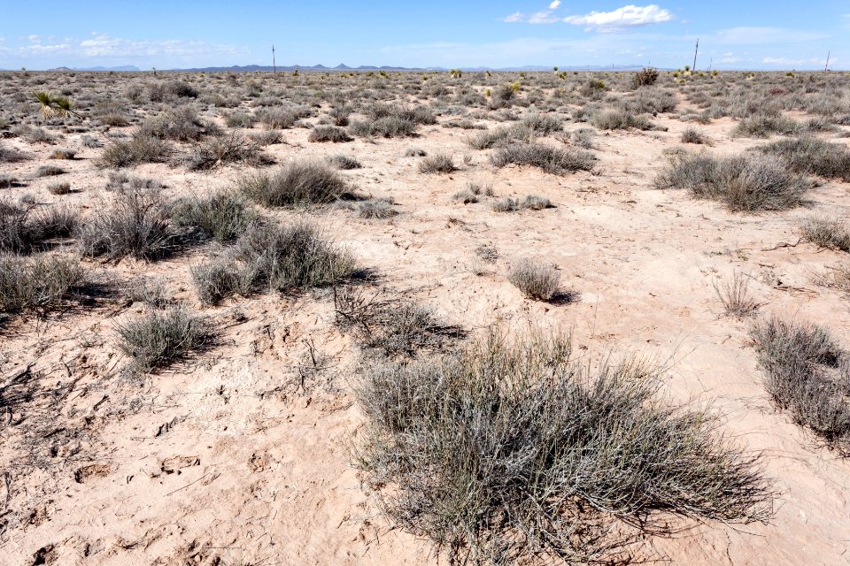 Jornada del Muerto Plain