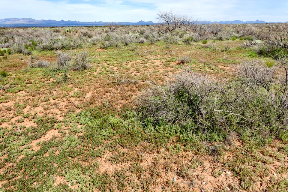 North-northwest of Onion Springs Peak