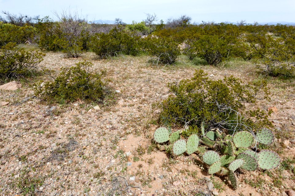 North of Onion Springs Peak