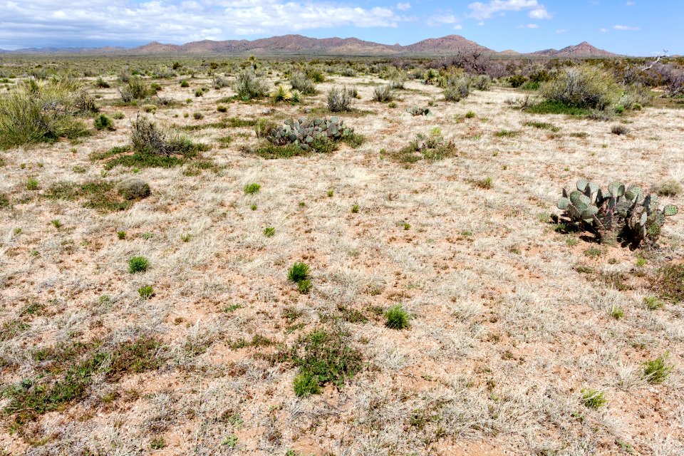 South-southeast of Apache Mountain