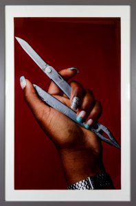 465 | Aurele Gould | Acrylic II | Photography | 38.5x25.5