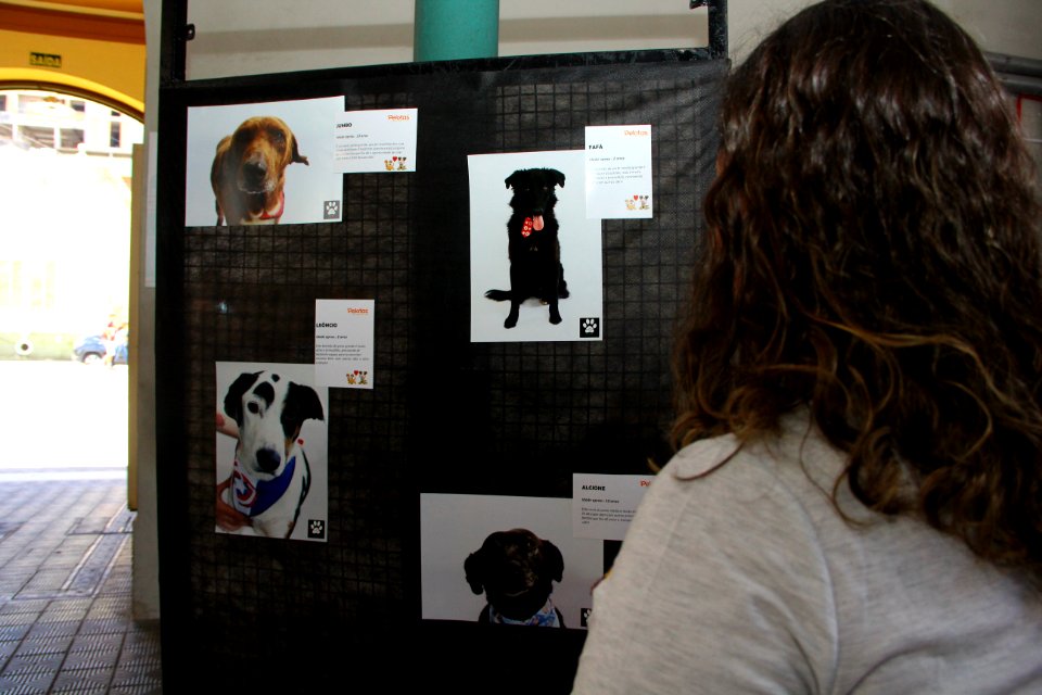 26.11.2018 - SAS - Mostra de Fotos da 1° Semana de Proteção Animal - Foto Marcel Avila (1)
