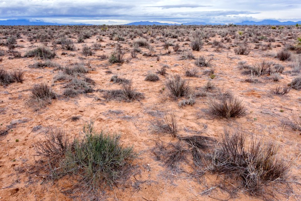 Jornada del Muerto Plain