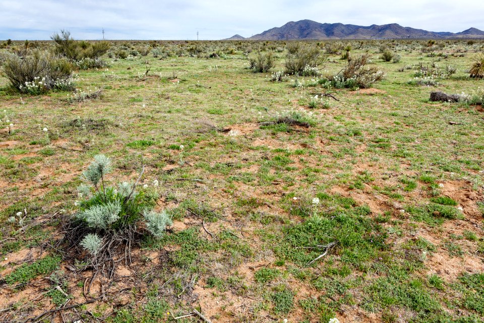 East-northeast of Lordsburg