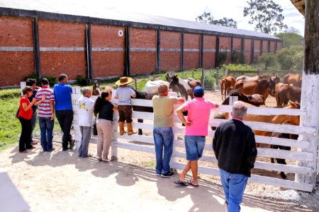 23.10.2018 Doação de Cavalos pela SSUI - Fotos Gustavo Mansur