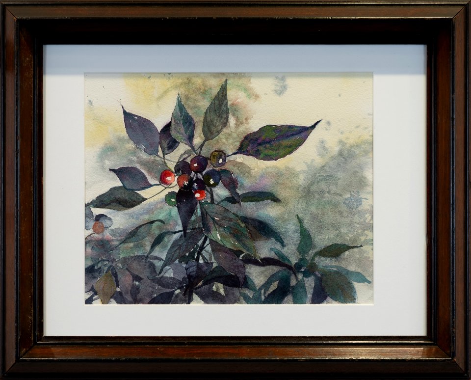 175 | Gwendolyn Bragg | Black Pearl Pepper | Transparent Watercolor | 16x20